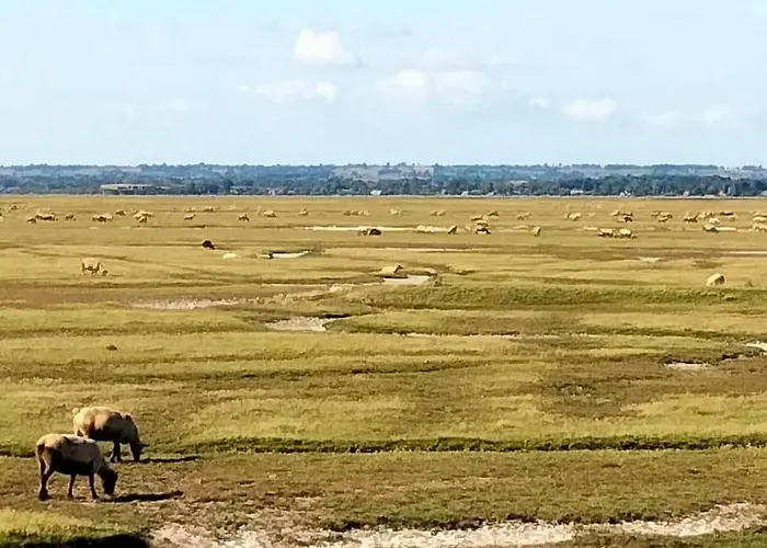 Maison Manta Σπίτι διακοπών Courtils